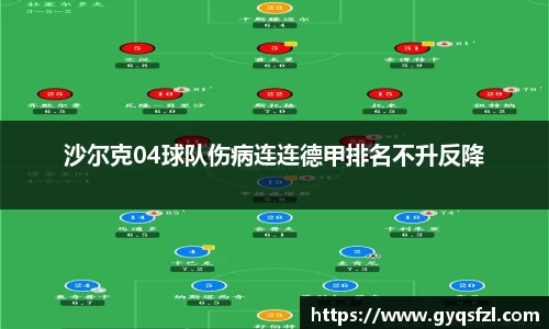 沙尔克04球队伤病连连德甲排名不升反降
