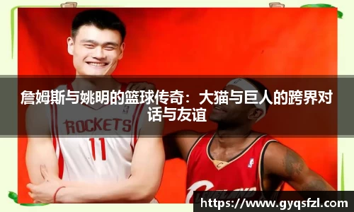 必一运动bsports官方网站