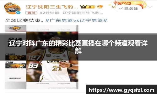 辽宁对阵广东的精彩比赛直播在哪个频道观看详解