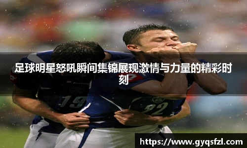 必一运动bsports体育